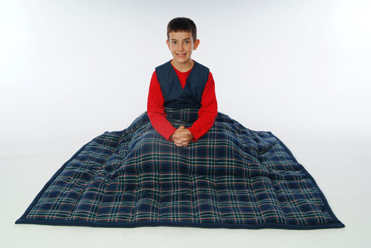 cozy_comforter_plaid